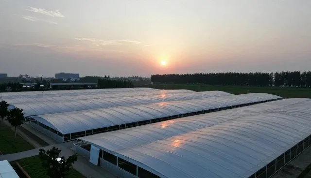多场景传播策略如何重塑文案创作效率